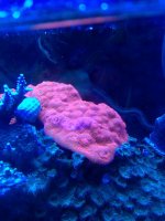 IMG_0400.jpg
