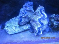 IMG_1323.jpg