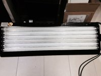 FullSizeRender (1).jpg