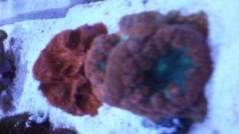 20151128_132802.jpg