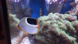 20150928_133729.jpg