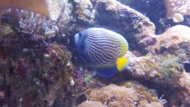 20150928_133811.jpg