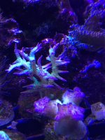 IMG_4791.jpg