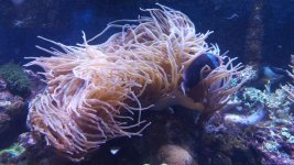 20150928_133817.jpg