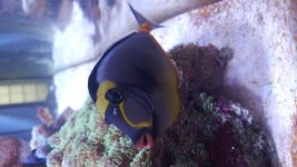 20150928_133902.jpg