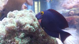 20150928_133958.jpg