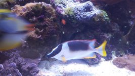 20150928_134306.jpg