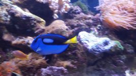20150928_134522.jpg