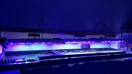 20150730_211632.jpg