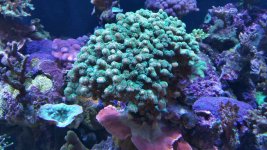20150428_180702.jpg