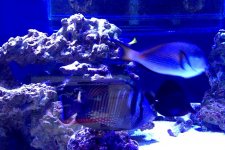 Photo on 5-31-15 at 7.47 PM.jpg