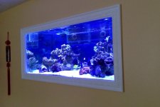 Photo on 5-31-15 at 5.12 PM.jpg