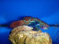 DSC01173.jpg