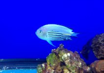 IMG_0166.jpg