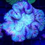 IMG_0194.jpg