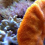IMG_0201.jpg