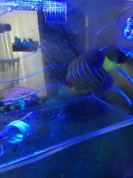 IMG_0299.jpg