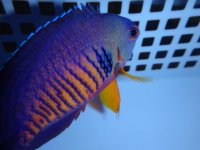 DSC01266.jpg