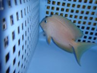 DSC01272.jpg
