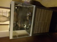 20160118_221825.jpg