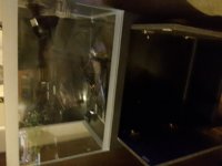 20160118_221838.jpg
