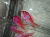 DSC01284.jpg