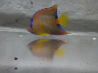 DSC01239.jpg