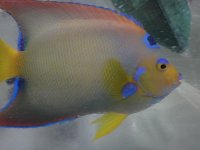 DSC01226.jpg