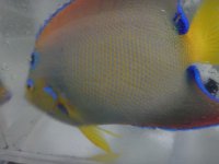 DSC01225.jpg