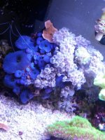 2015-09-30 20.02.31.jpg