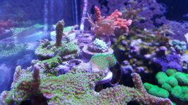 20151218_184602.jpg