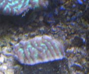 IMG_2475.jpg