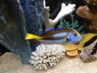 IMG_0232.jpg