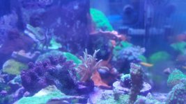 20160101_195115.jpg