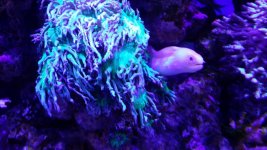 uploadfromtaptalk1430351439035.jpg uploadfromtaptalk1430351439035.jpg