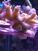 IMG_2761.jpg