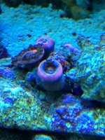 IMG_2233.jpg
