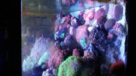 20160119_151552.jpg