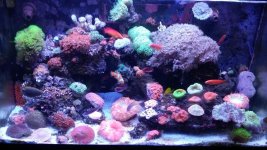 20160119_151455.jpg
