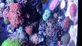 20160119_151410.jpg