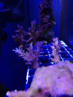 IMG_4152.jpg