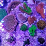 20160311_171301~2.jpg