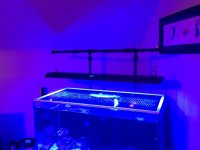 IMG_1137.jpg