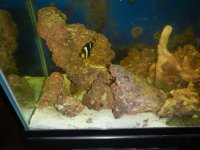 DSCN5525.jpg