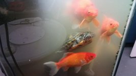 20160312_144554.jpg