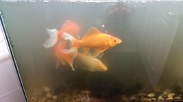 20160312_144642.jpg