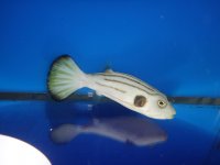 DSC01313.jpg