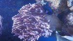 20151001_150753.jpg