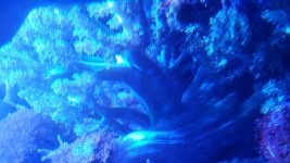 20151001_172521.jpg