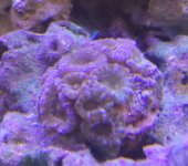 20151002_055313-1.jpg